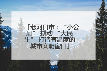 老河口市：“小公厕” 撬动 “大民生” 打造有温度的城市文明窗口