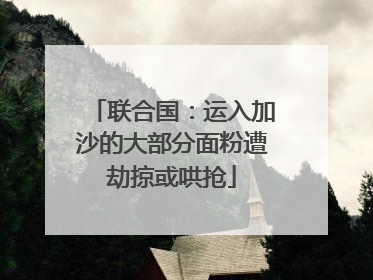 联合国：运入加沙的大部分面粉遭劫掠或哄抢
