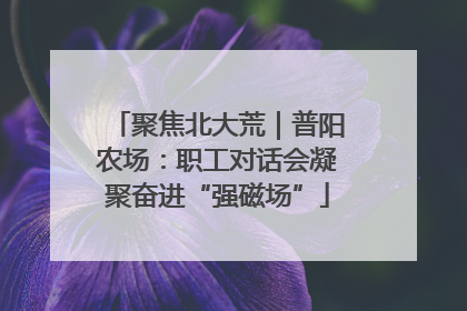 聚焦北大荒｜普阳农场：职工对话会凝聚奋进“强磁场”