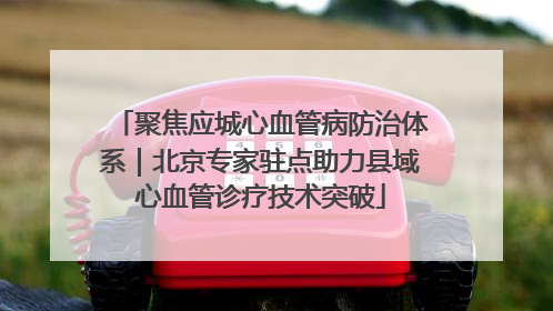 聚焦应城心血管病防治体系｜北京专家驻点助力县域心血管诊疗技术突破