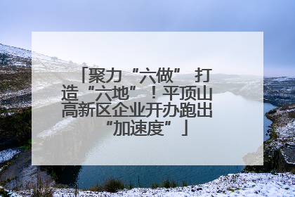 聚力“六做” 打造“六地”！平顶山高新区企业开办跑出“加速度”
