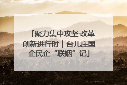 聚力集中攻坚·改革创新进行时｜台儿庄国企民企“联姻”记