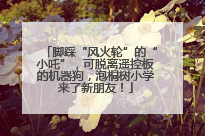 脚踩“风火轮”的“小吒”，可脱离遥控板的机器狗，泡桐树小学来了新朋友！
