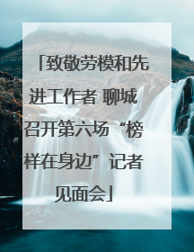 致敬劳模和先进工作者 聊城召开第六场“榜样在身边”记者见面会