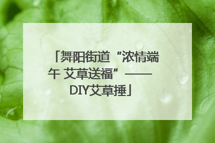 舞阳街道“浓情端午 艾草送福”——DIY艾草捶
