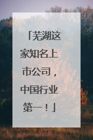 芜湖这家知名上市公司，中国行业第一！