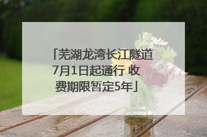芜湖龙湾长江隧道7月1日起通行 收费期限暂定5年
