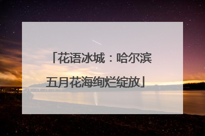 花语冰城：哈尔滨五月花海绚烂绽放