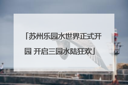 苏州乐园水世界正式开园 开启三园水陆狂欢