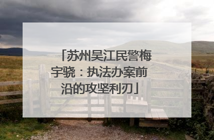 苏州吴江民警梅宇骁：执法办案前沿的攻坚利刃