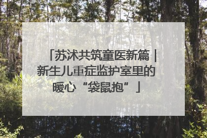 苏沭共筑童医新篇｜新生儿重症监护室里的暖心“袋鼠抱”