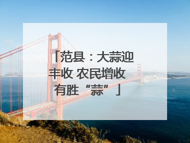 范县：大蒜迎丰收 农民增收有胜“蒜”
