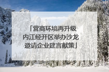 营商环境再升级 内江经开区举办沙龙邀请企业建言献策