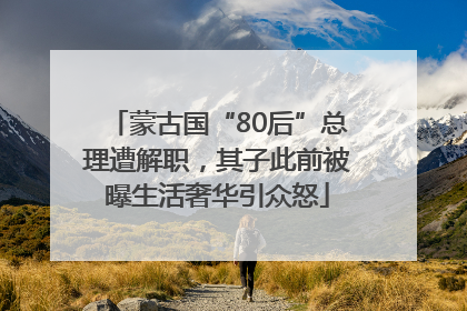 蒙古国“80后”总理遭解职，其子此前被曝生活奢华引众怒