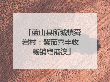 蓝山县所城镇舜岩村：紫茄喜丰收 畅销粤港澳