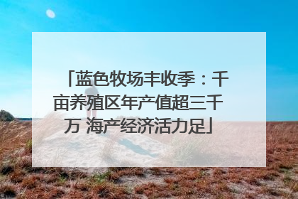 蓝色牧场丰收季：千亩养殖区年产值超三千万 海产经济活力足
