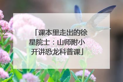课本里走出的徐星院士：山师附小开讲恐龙科普课