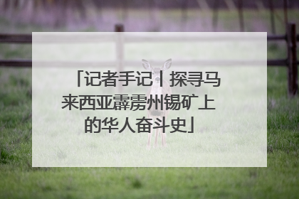 记者手记丨探寻马来西亚霹雳州锡矿上的华人奋斗史
