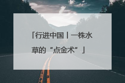 行进中国丨一株水草的“点金术”