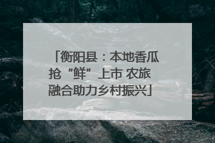 衡阳县：本地香瓜抢“鲜”上市 农旅融合助力乡村振兴