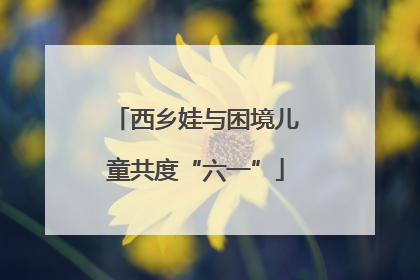 西乡娃与困境儿童共度“六一”