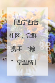 西宁西台社区：党群携手 “粽”享温情
