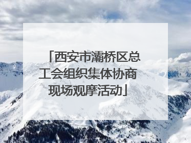 西安市灞桥区总工会组织集体协商现场观摩活动