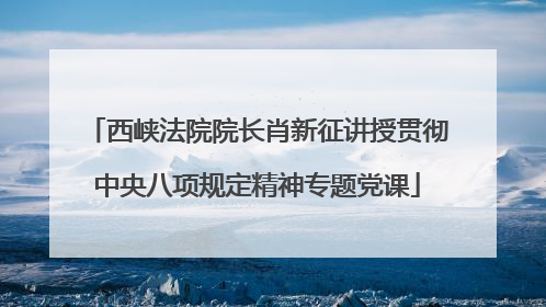 西峡法院院长肖新征讲授贯彻中央八项规定精神专题党课