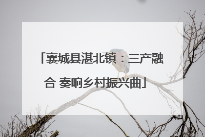 襄城县湛北镇：三产融合 奏响乡村振兴曲