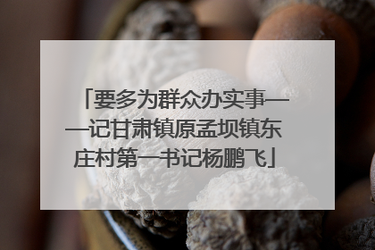 要多为群众办实事——记甘肃镇原孟坝镇东庄村第一书记杨鹏飞