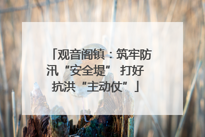 观音阁镇：筑牢防汛“安全堤” 打好抗洪“主动仗”