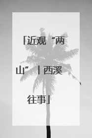 近观“两山”丨西溪往事
