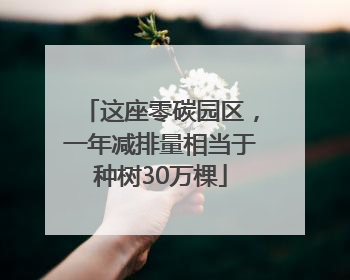 这座零碳园区，一年减排量相当于种树30万棵