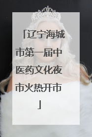 辽宁海城市第一届中医药文化夜市火热开市