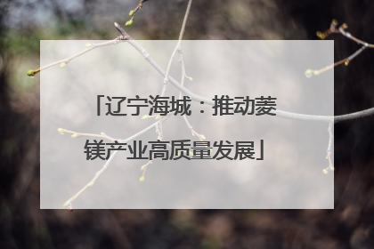 辽宁海城：推动菱镁产业高质量发展