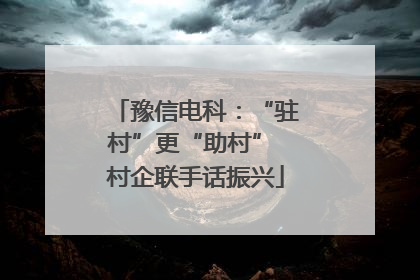 豫信电科：“驻村”更“助村” 村企联手话振兴
