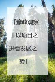 豫政观察丨以项目之进看发展之势