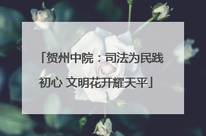 贺州中院：司法为民践初心 文明花开耀天平