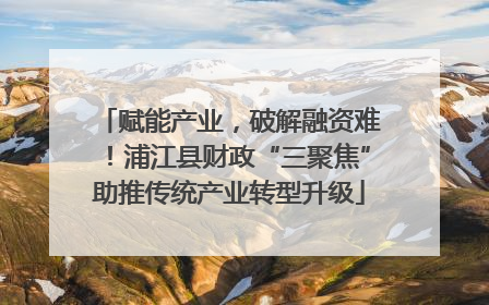 赋能产业，破解融资难！浦江县财政“三聚焦”助推传统产业转型升级