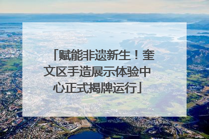 赋能非遗新生！奎文区手造展示体验中心正式揭牌运行