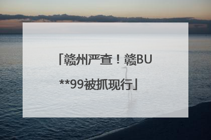 赣州严查！赣BU**99被抓现行