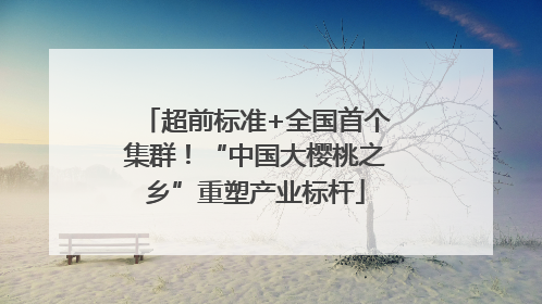 超前标准+全国首个集群！“中国大樱桃之乡”重塑产业标杆