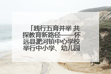 践行五育并举 共探教育新路径——怀远县淝河镇中心学校举行中小学、幼儿园班主任论坛活动