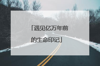 遇见亿万年前的生命印记
