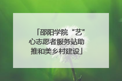邵阳学院“艺”心志愿者服务站助推和美乡村建设