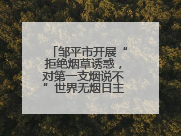 邹平市开展“拒绝烟草诱惑，对第一支烟说不”世界无烟日主题宣传活动