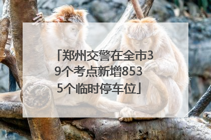 郑州交警在全市39个考点新增8535个临时停车位
