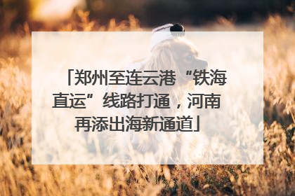 郑州至连云港“铁海直运”线路打通，河南再添出海新通道