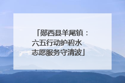 郧西县羊尾镇：六五行动护碧水 志愿服务守清波