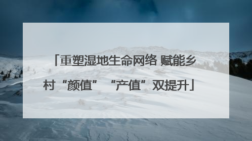 重塑湿地生命网络 赋能乡村“颜值”“产值”双提升